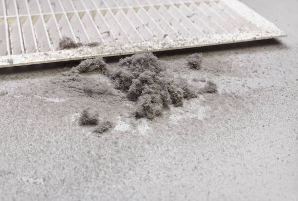 Best Dryer Vent Cleaning Services  in Live Oak, TX