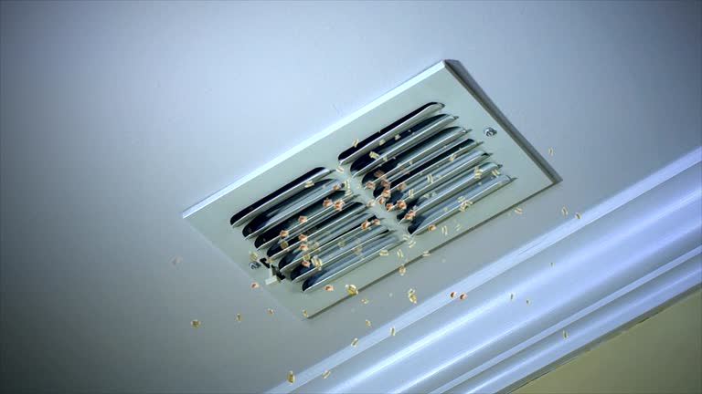 Best Air Duct Cleaning Near Me  in Live Oak, TX
